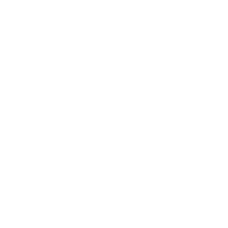 Protectora Industrial Las Nieves logo