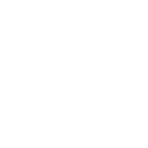 Everest logo